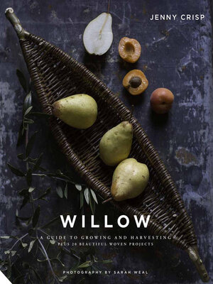 cover image of Willow